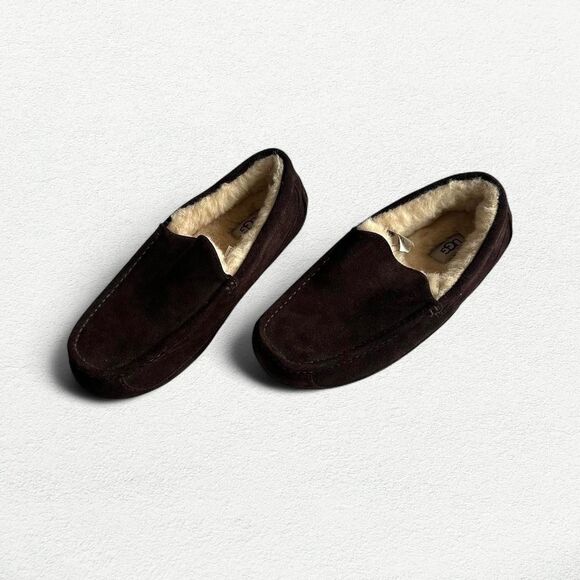 UGG Ascot Slipper in Espresso Brown - Picture 1 of 8